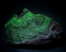 Fluorescent Mexican Lace Agate Shortwave UV 10.36 Oz