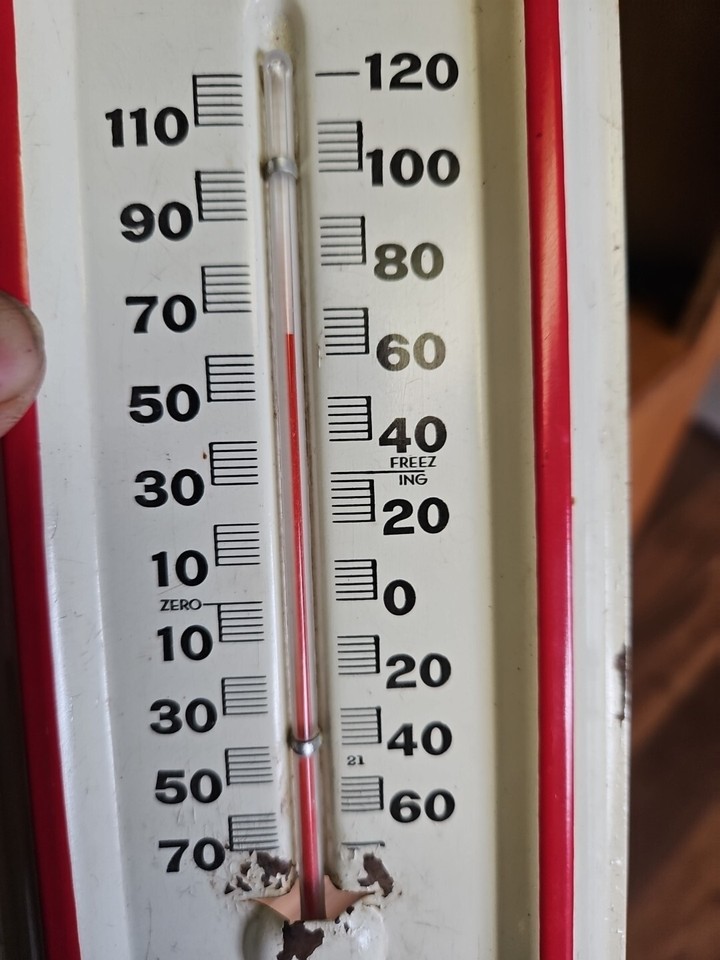 Nextime Thermometer Lily 22 cm, silver - buy at Nextime Thermometer Lily 22 cm, silver - buy at