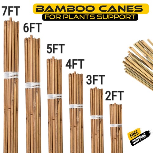 Bamboo Heavy Duty Garden Canes Thick Quality Flower Plant Support Cane