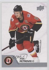 2020-21 Upper Deck AHL Alex Petrovic #13 e6j