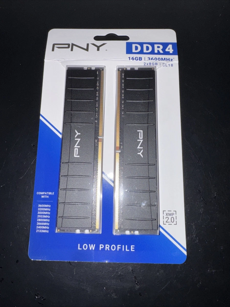 PNY Memory 8 GB Capacity per Module 288 Pins for sale | eBay