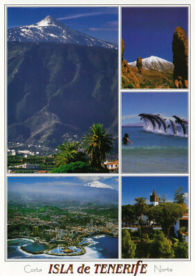 Alte Postkarte - Isla de Tenerife - Costa Norte