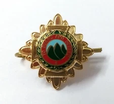 Rank Pip Officer "To Guard and Defend" Insignia Split Pin Bath Star UK Made