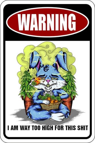 WAY TOO HIGH sign Metal funny man cave marijuana cannabis decor idea A345 - 第 1/1 張圖片