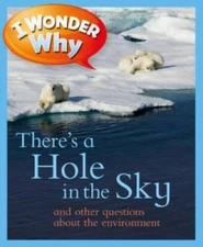 I Wonder Why There's a Hole in the Sky - Paperback By Callery, Sean - GOOD