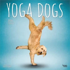 BrownTrout,  Yoga Dogs 2026 Wall Calendar, 12'' X 12'', 16-Month Calendar with S