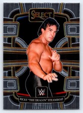 2024 Panini Select WWE #93 Ricky 