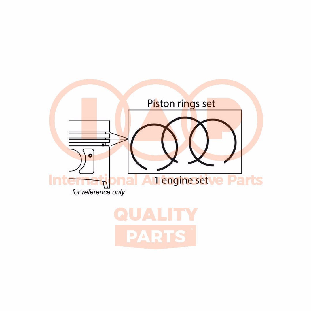 IAP QUALITY PARTS Elastic Band Kit 102-21071 for KIA