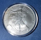 2005 1 Oz American Silver Eagle. Uncirculated .999 Fine Silver