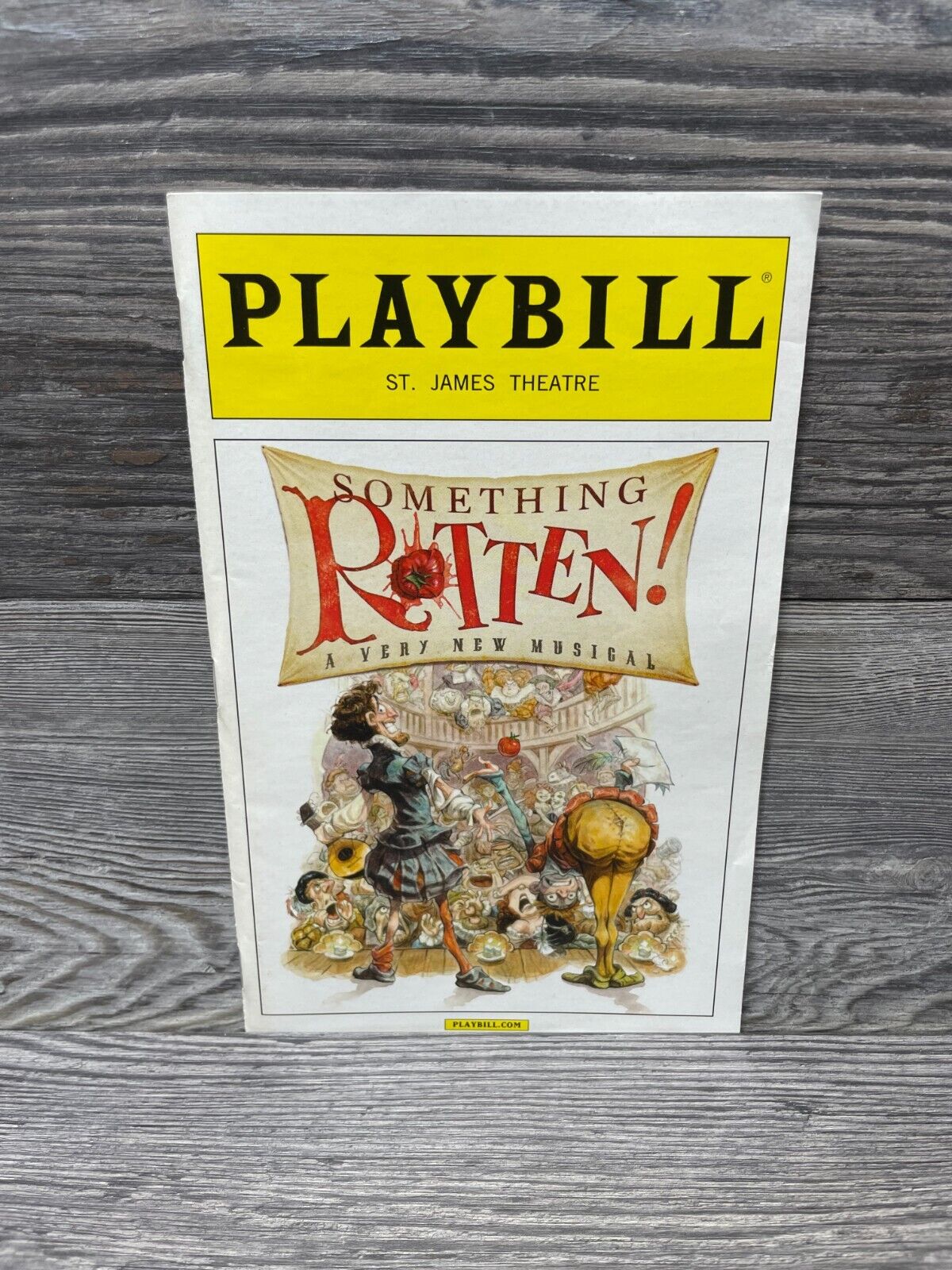 Something Rotten! (Broadway, St. James Theatre, 2015)