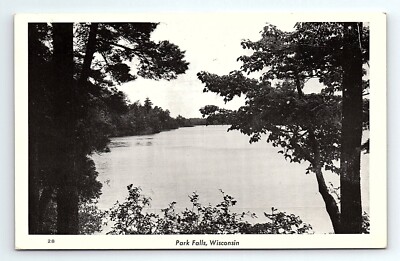 Park Falls River Lake Side View Wisconsin WI Vintage Postcard