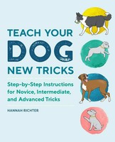 Teach Your Dog New Tricks Hannah Richter Taschenbuch Kartoniert / Broschiert