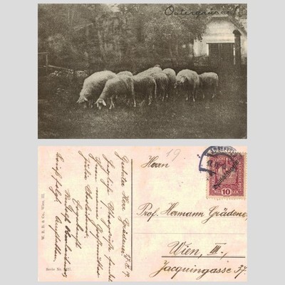 Alte AK - Schafe grasen Ostergrüsse Ostergrüße 1919 VERSCHICKT