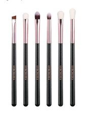 Eye Makeup Brush Set, 6 Pcs Professional Blending Eyeshadow Makeup Brushes...