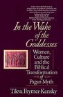 In the Wake of the Goddesses: Women, Culture, and the Biblical Transformation of Pagan Myth by Tikva Simone Frymer-Kensky (Paperback)