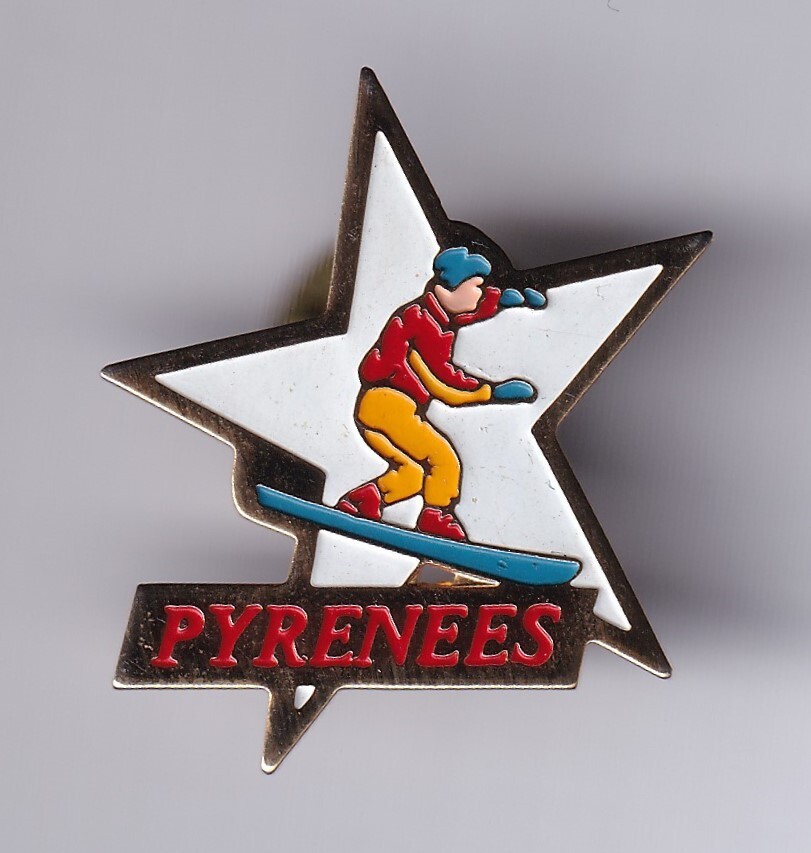 RARE PINS PIN'S .. SPORT HIVER SKI SKIING MONOSKI SNOWBOARD PORCELAINE