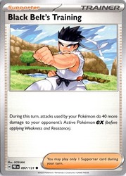 Black Belt's Training 097/131 Prismatic Evolutions