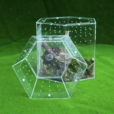 Reptilien-Terrarium, Springspinnen, Gehege für Leguan, Einsiedlerkrebs,