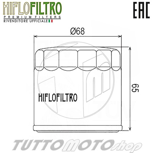 Tagliando TRIUMPH Sprint 955 RS-ST 2001-2004 / Kit Olio Castrol Racing + Filtro - Foto 2 di 5