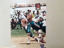 Dan Marino 8 x10 Miami Dolphins