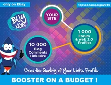Make Link Pyramid ,1000 good domain Authority Profiles + 10k Blog Comment .SEO