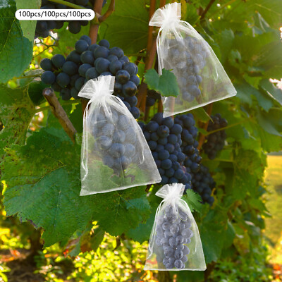 White Fruit Netting Bags Garden Netting Bags W/Drawstring Fruit Protection Bags