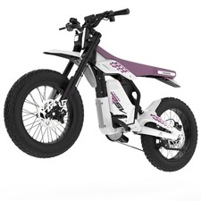 Electric Dirt Bike 3000w 40mph Electric-Motorcycle w/60v 27ah Mountain Off-Road