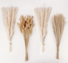 Natural Dried Pampas Grass Decor, White Grass  100PCS-White,