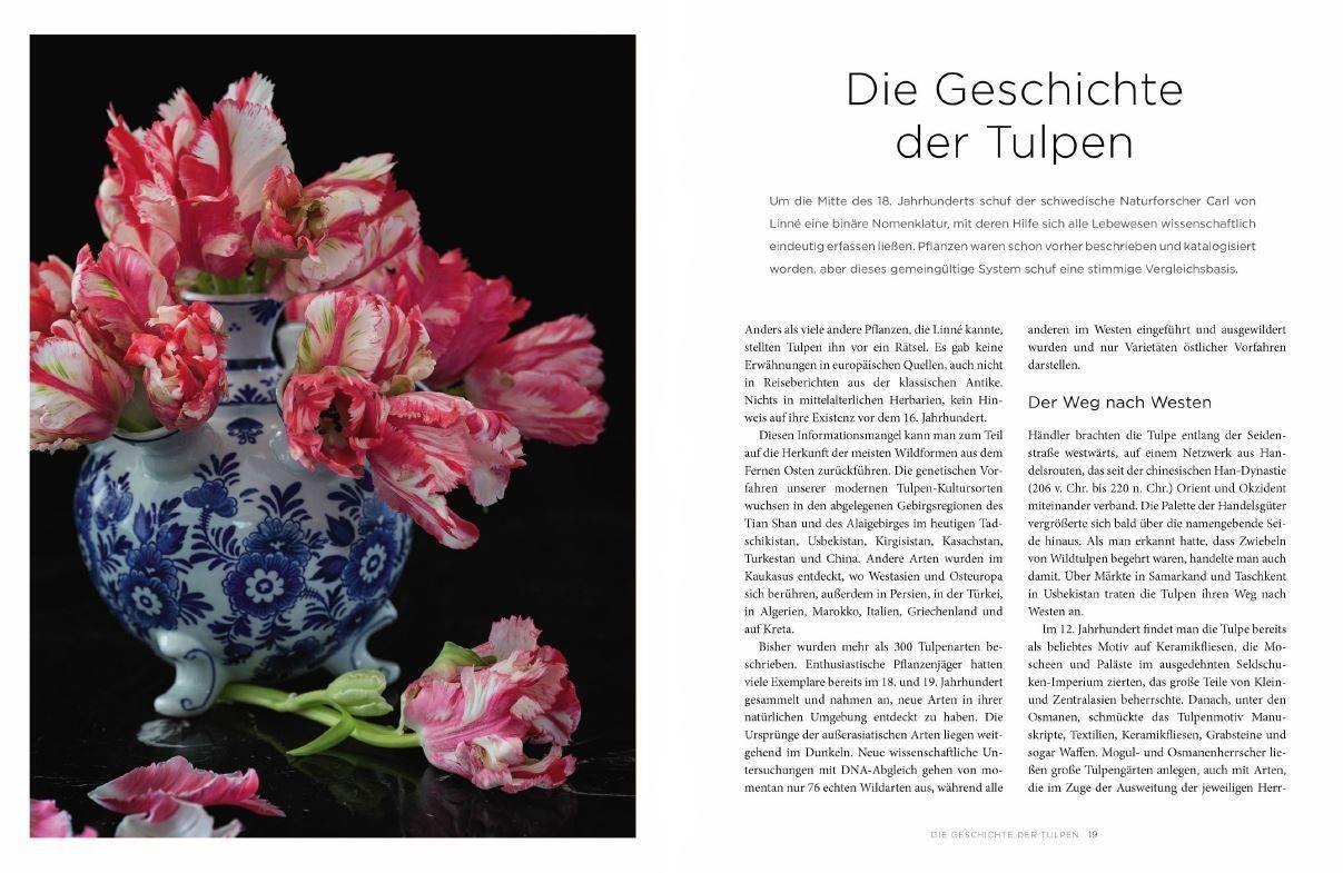 Thumbnail - Jane Eastoe Tulpen