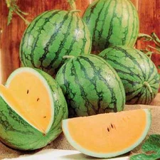 50+ New Queen Watermelon Seeds for Garden Planting - USA - FREE SHIPPING!