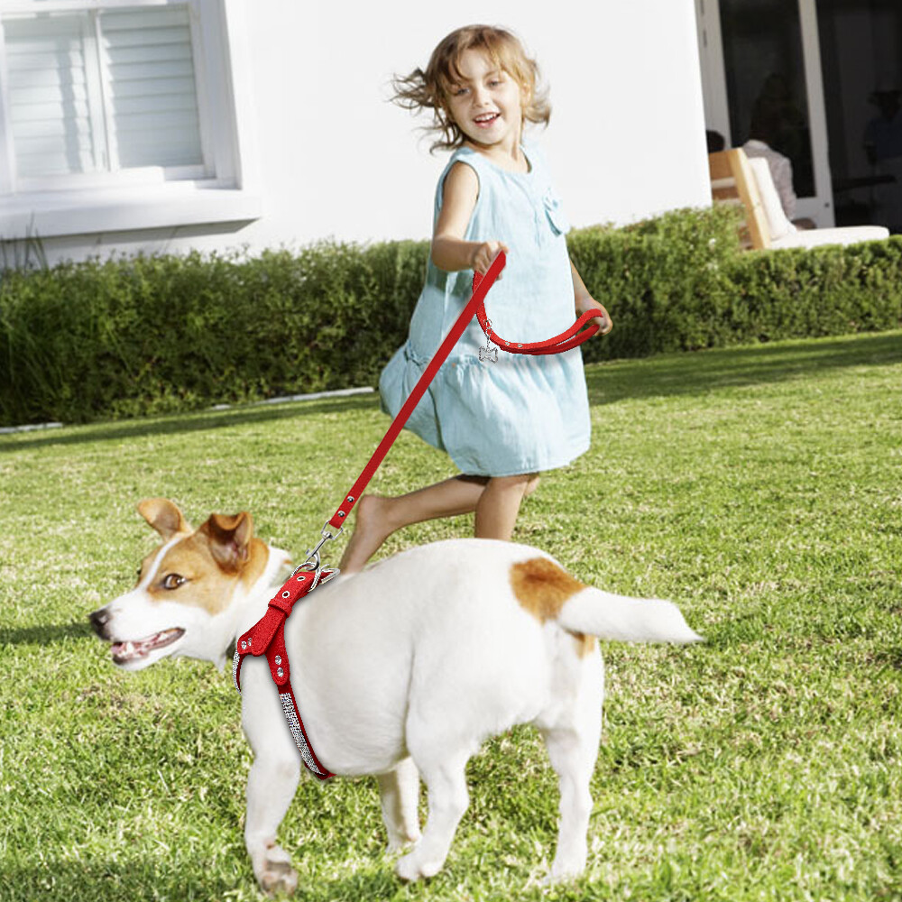 Simpatico Collare Per Cani Con Fiocco E Guinzaglio Per Collare Per Cani, Guinzaglio Per Collare Per Cani Con Papillon, Gilet Morbido Per Cani Di Piccola Taglia E Media, Passeggiate All'aperto