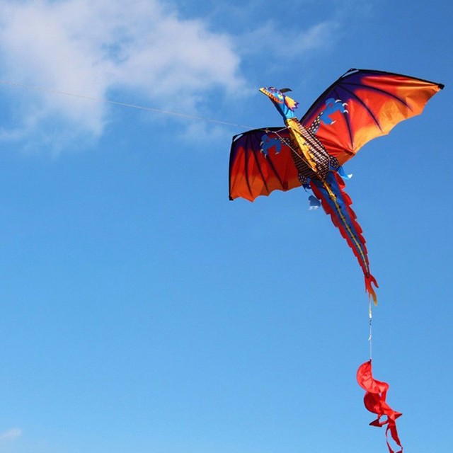 Classical 3d Flying Dragon Kite 140*120cm Line With Tail Outdoor Kids