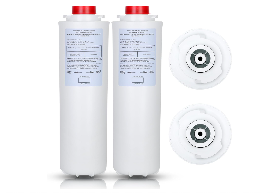 51300C Filter Replacement (2 Packs-No Chip),Compatible with EzH2O Filter Replace