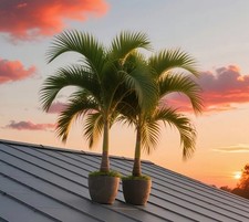 8-9 Ft Tall Artificial Palm Tree For Outdoor/Indoor Use Easy To Assemble USA