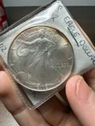 2002 Walking Liberty US Eagle Dollar Coin 1 oz Fine Silver Toned Around Edges