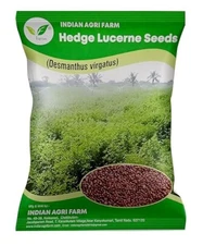 Hedge Lucerne-Velimasal-Desmanthus Fodder 1 Kg Multicut for Fodder Cult