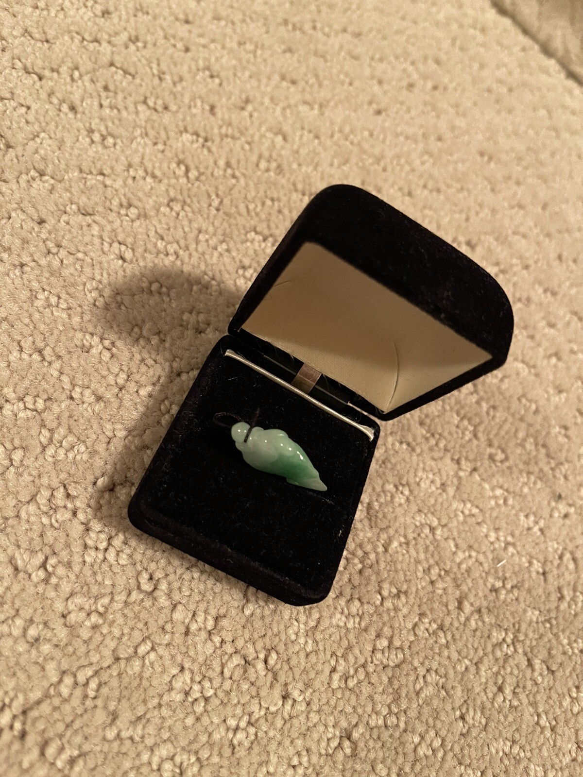 Picture 5 of 12