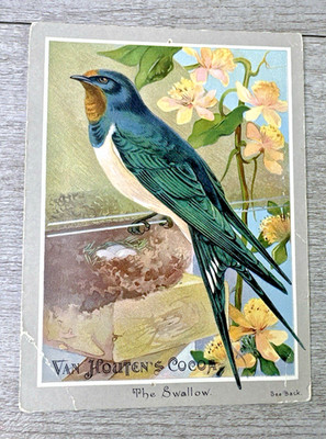 1890s Van Houten's Cocoa ''The Swallow'' Trade Card Art Hot Coffee Advertising