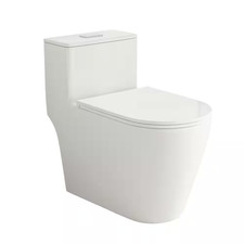 12 In. Rough-In Elongated One-Piece Toilet 1.0/1.6 GPF Dual Flush Skirted Toilet