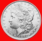 1891 CC- 1896 O- 1891 S -1899 S 1878 7/8 tf-  1883 S- 1886 O- 1882 O/S Morgans