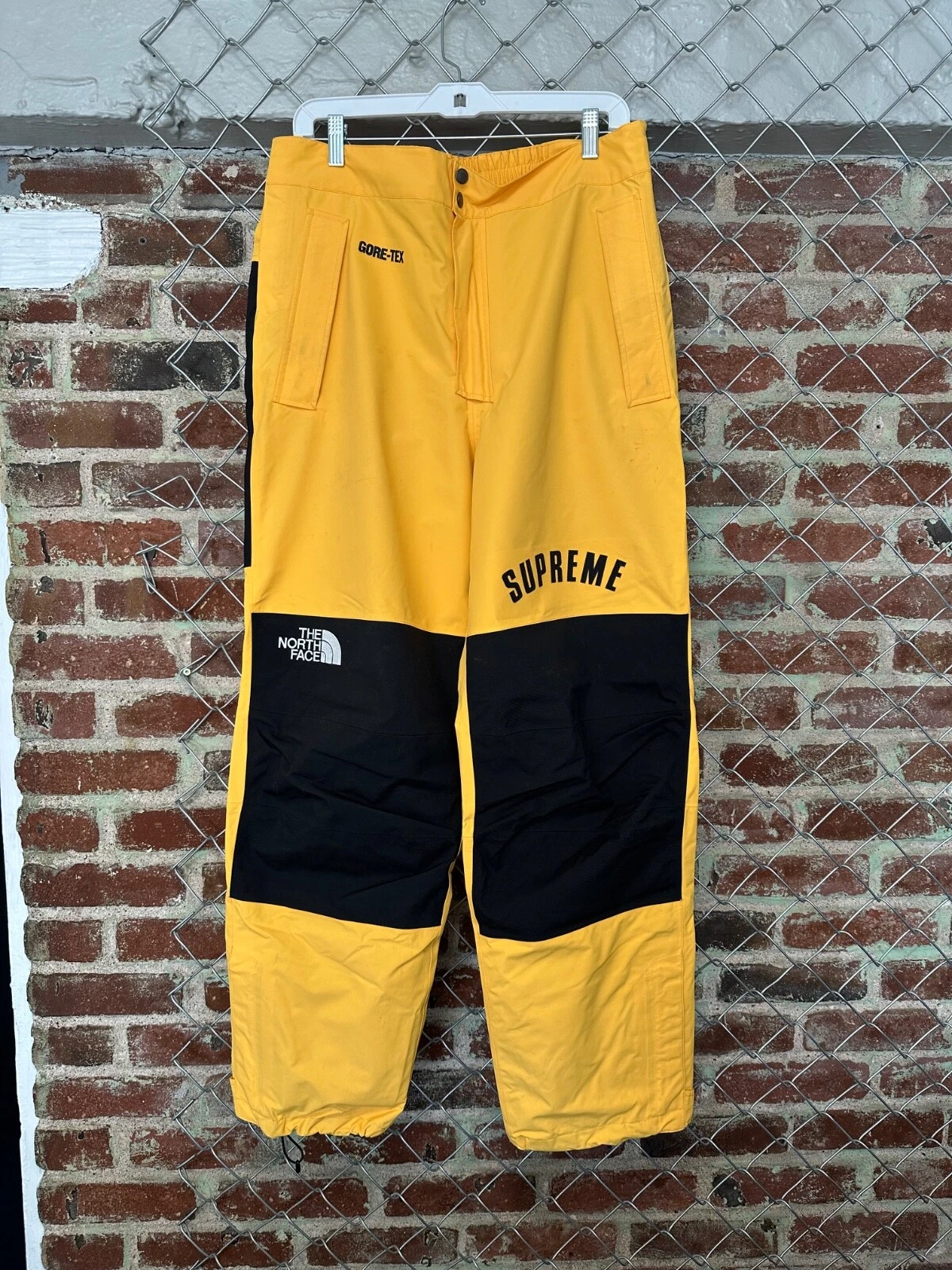 Pantalon de montagne Supreme x The North Face Arc Logo GORE TEX SS/19