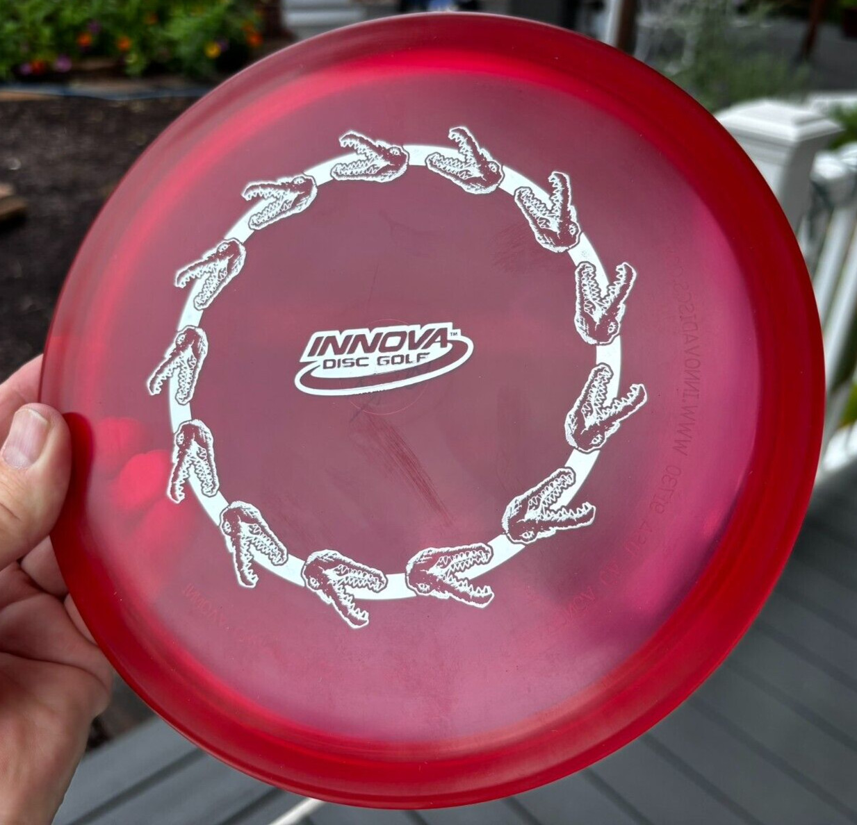 Disc Golf Innova Champion Gator (Ring of Gators) Penned PFN (Free Returns) #3968 - Thumbnail 1