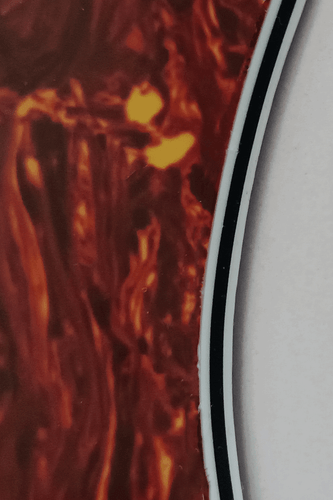 PB Bass Schlagbrett 13 Loch Plektrumschutz Kratzplatte für 4-Saiter Precision P Bass - Bild 28 von 29