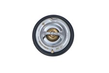 Thermostat Ssangyong ACTYON