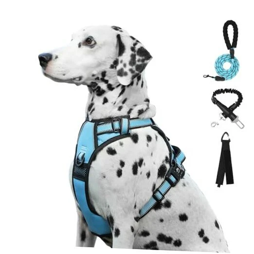 Dog Harness | No Pull Dog Harness | Reflective Oxford | Padded Large Blue