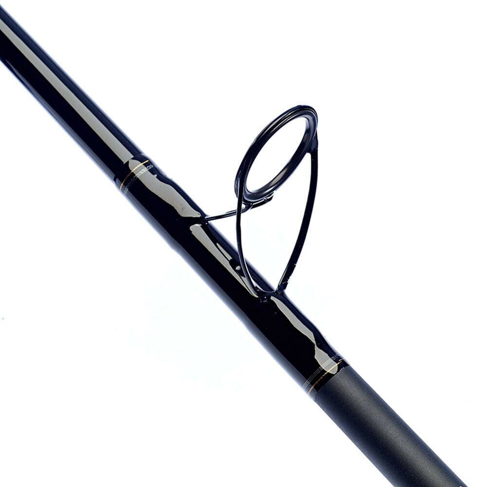 Daiwa Sandstorm Surf Beach Casting Rods Fishing Rod eBay