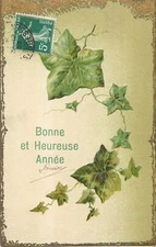 ILLUSTRATED CP WAFFLE HAPPY YEAR IVY LEAVES - 24442