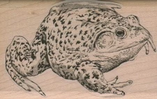 Fat Toad 2 x 3" Rubber Stamp, Toad Stamp