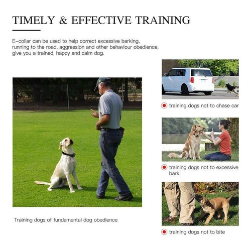 3 Dogs Waterproof Dog Electric Shock Training Bark Collars Rechargeable Remote - Picture 3 of 11