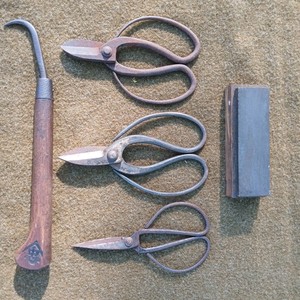 Vintage Japanese Bonsai Tools Shears Antique